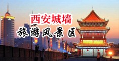 SM被两个黑人插到喷水视频中国陕西-西安城墙旅游风景区